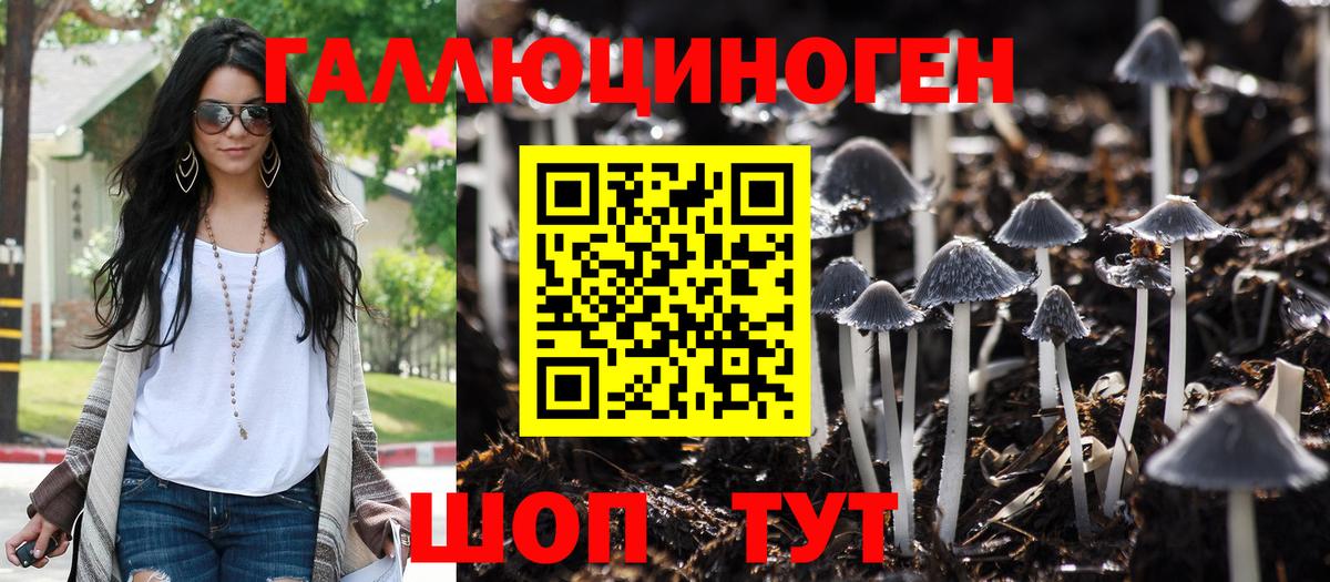 Таганрог  Псилоцибиновые грибы мицелий  цены   Вход с VPN 